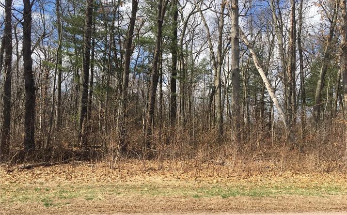 Land For Sale East Windsor Ct