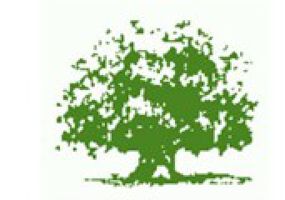 Metro Property Services