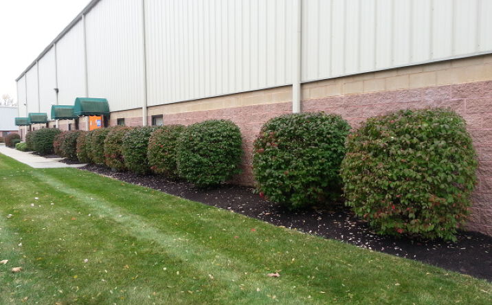 Pictures of Industrial property located at 8 Petra Ln, Colonie, NY 12205 for lease - image #1