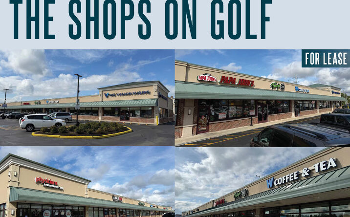 Pictures of Retail property located at 8600 W Golf Rd, Niles, IL 60714 for lease - image #1