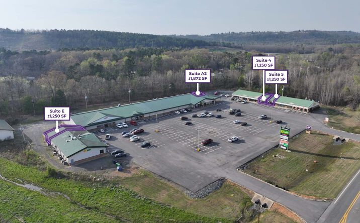 Pictures of Retail, Office property located at 582 AR-365, Mayflower, AR 72106 for lease - image #1