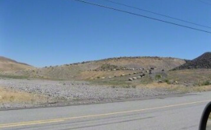 Pictures of Industrial, Land property located at 2729 Waltham Way, Sparks, NV 89437 for lease - image #1