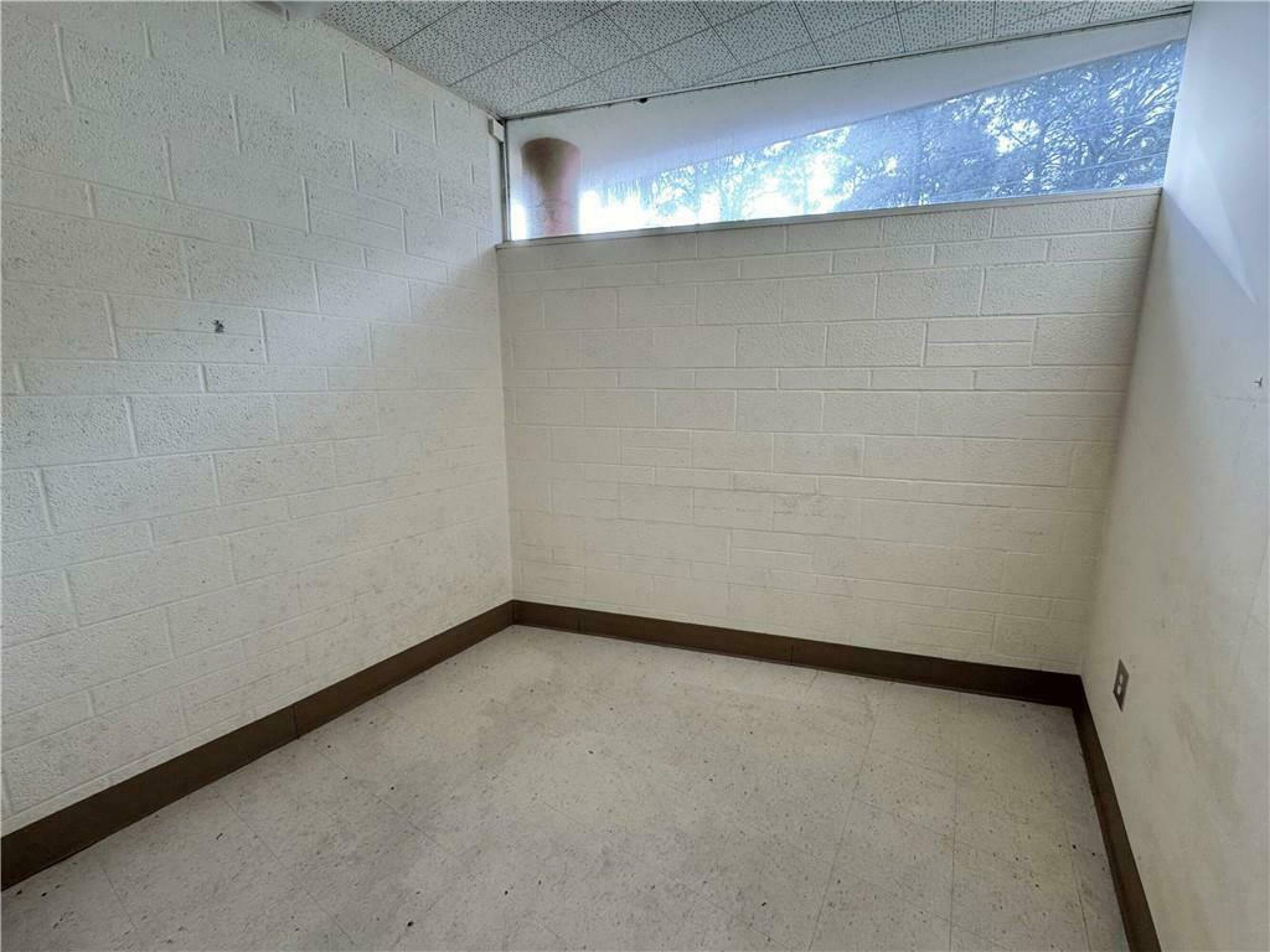 2993909