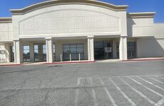 11406407