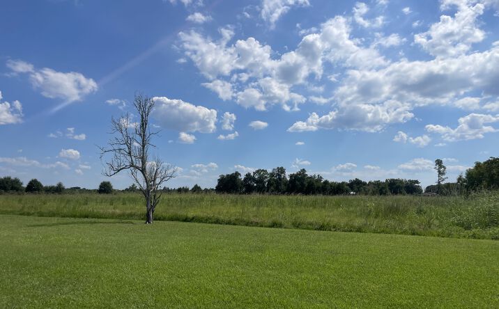 Pictures of Land property located at 7680 Gulf Hwy, Lake Charles, LA 70607 for lease - image #1