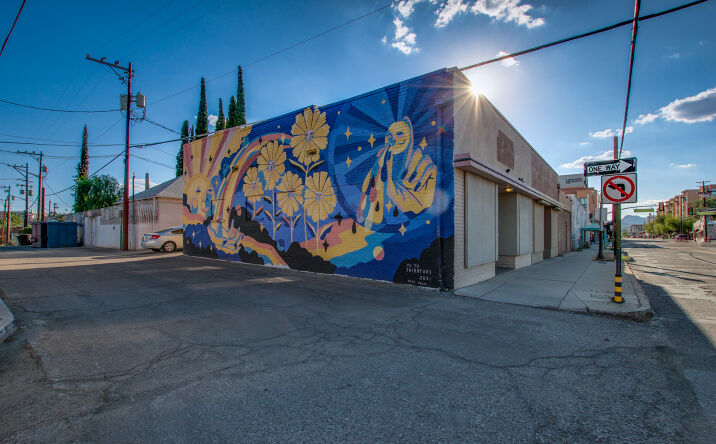 Pictures of Retail property located at 424 E 6th St, Tucson, AZ 85705 for lease - image #1