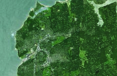 11483781