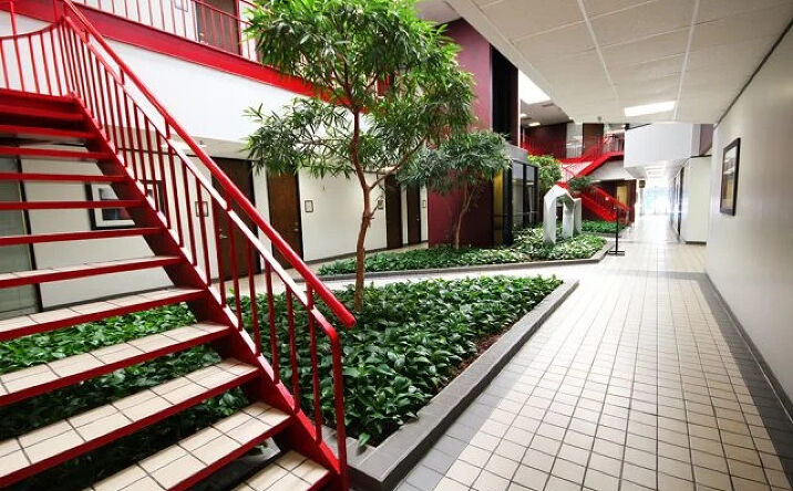 Pictures of Office, Special Purpose property located at 16903 Red Oak Dr, Houston, TX 77090 for lease - image #1