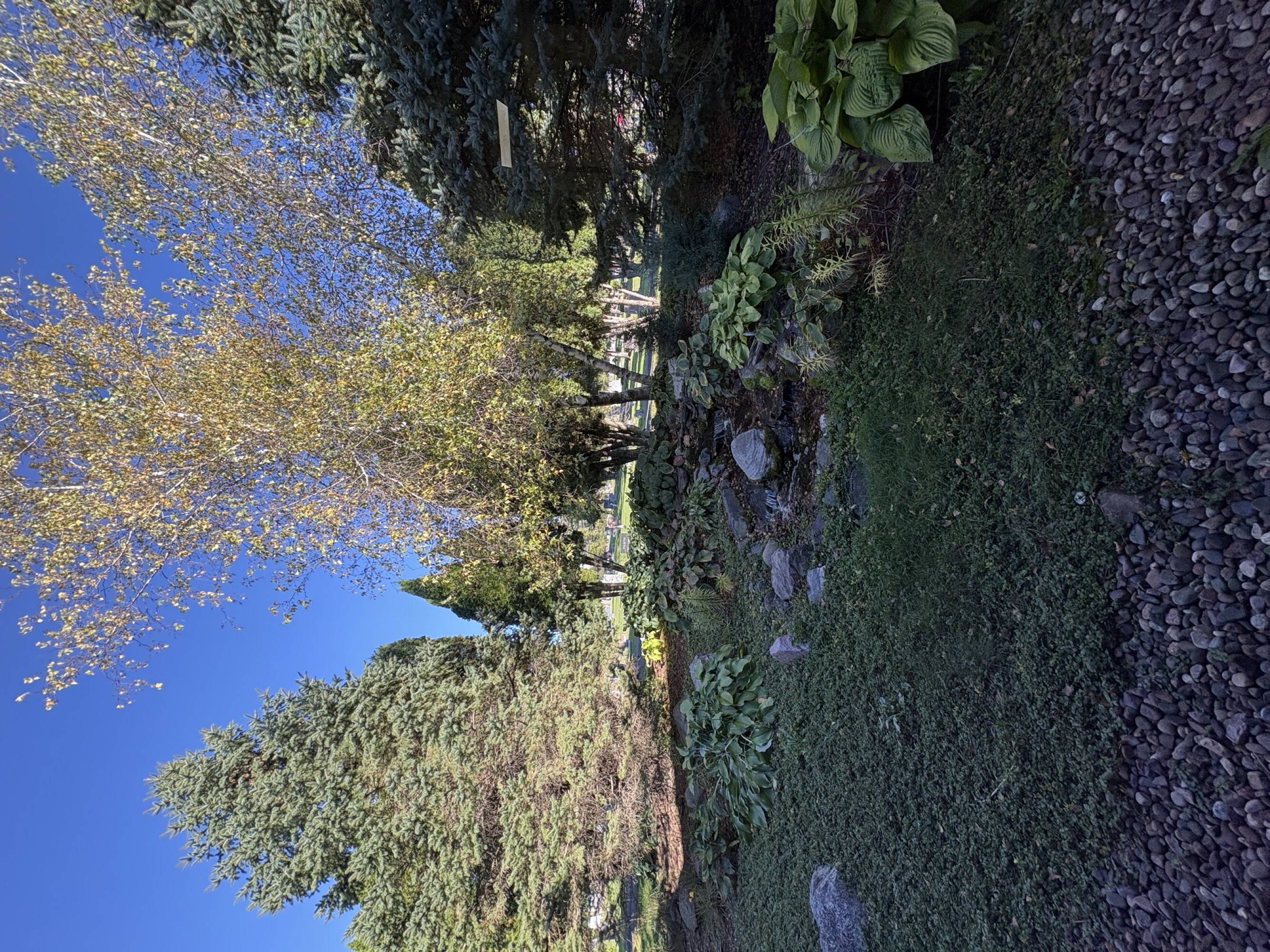 3038521