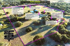 11591299