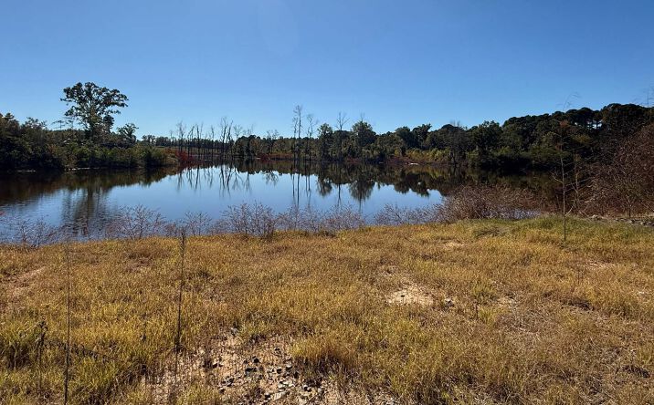 Pictures of Land property located at Greenwood Road, Shreveport, LA 71119 for lease - image #1