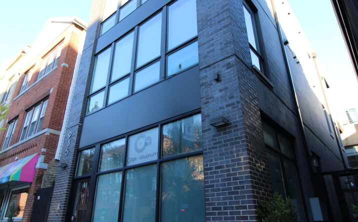 Pictures of Retail property located at 935 N Ashland Avenue 1, Chicago, IL 60622 for lease - image #1