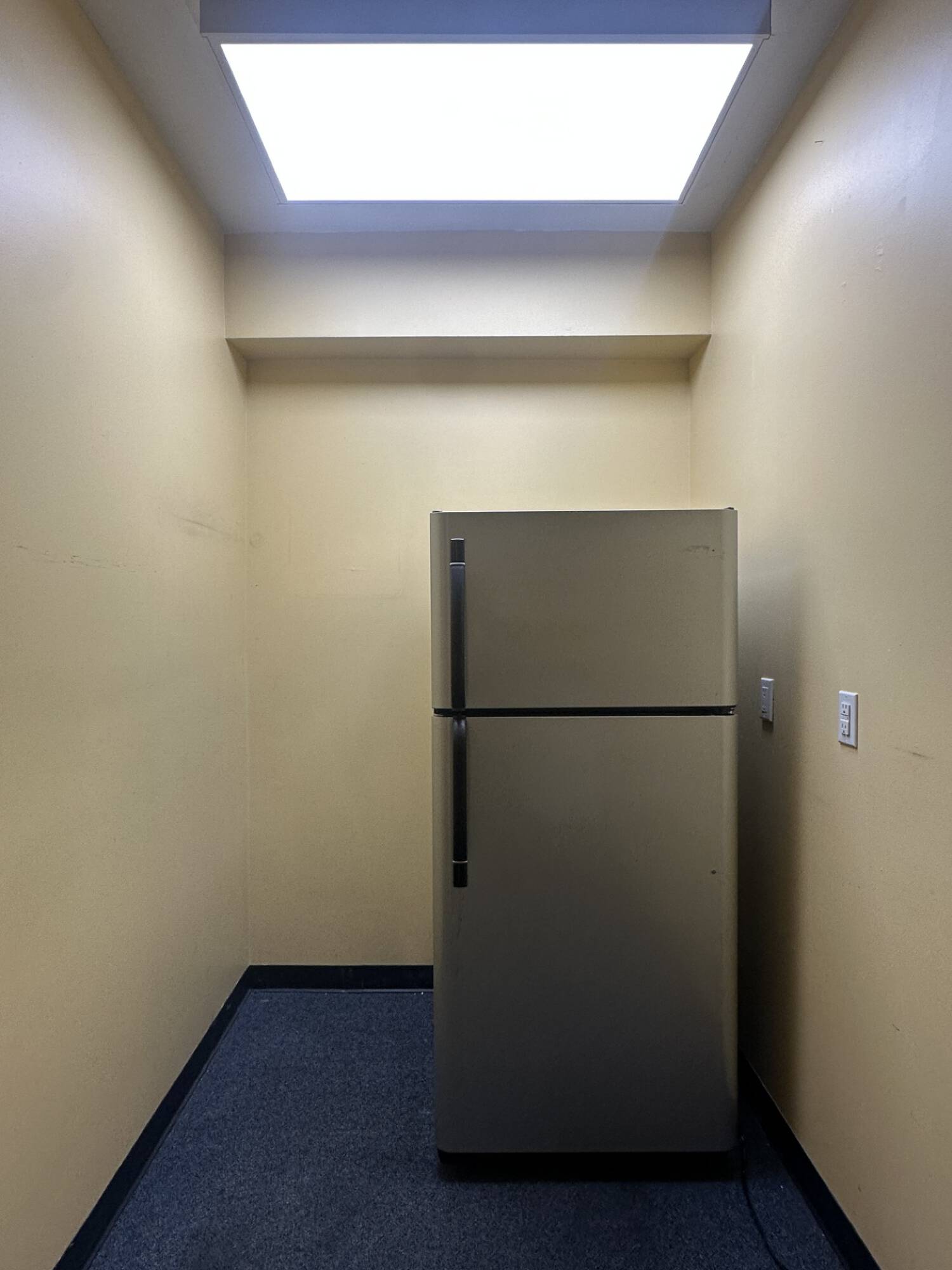 3133338