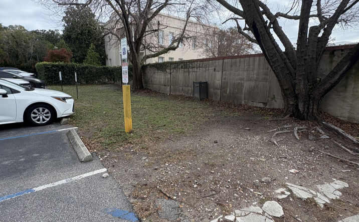 Pictures of Land property located at 246 Meeting Street, Charleston, SC 29401 for lease - image #1