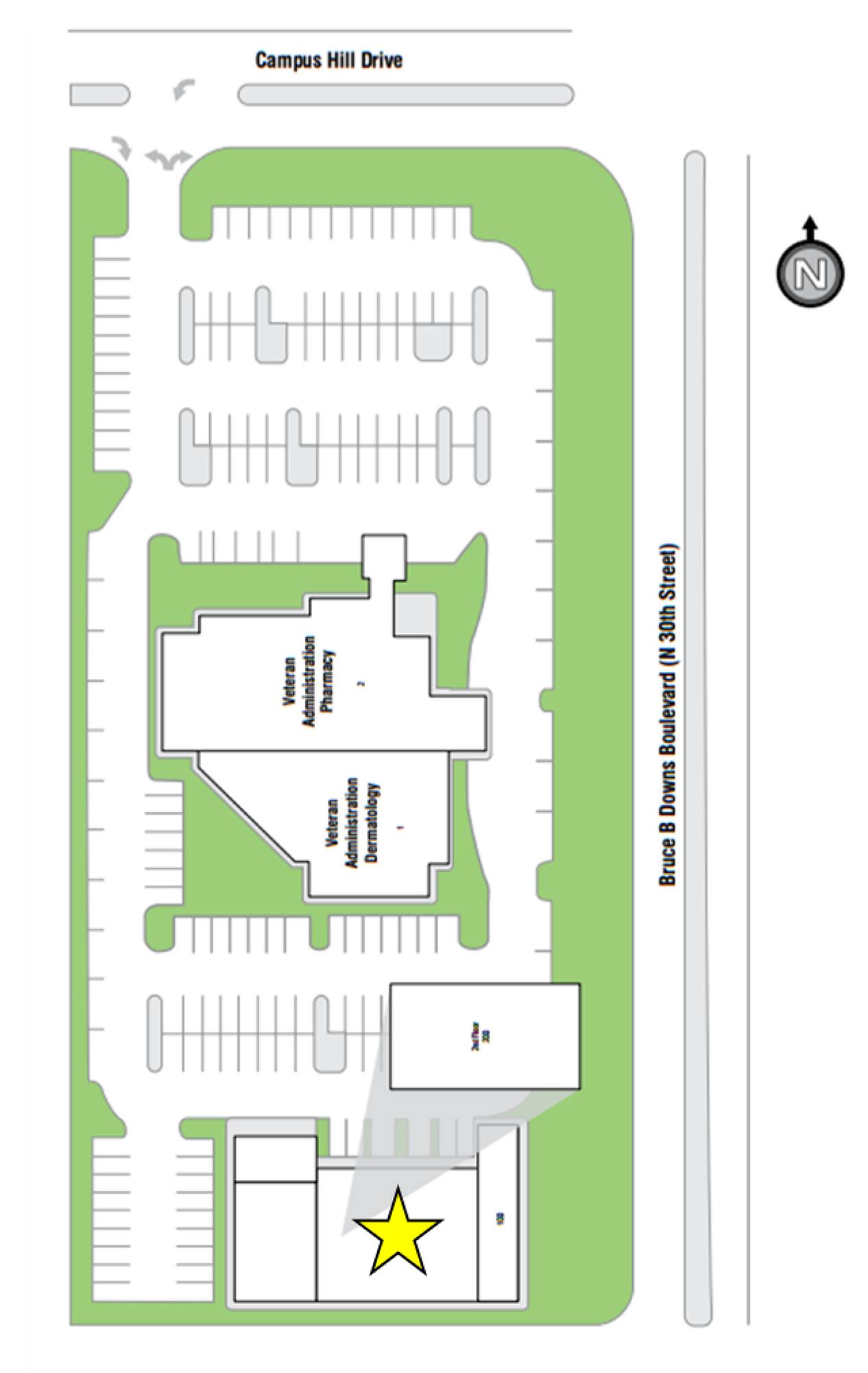 12206 Bruce B Downs Blvd, Tampa, FL 33612