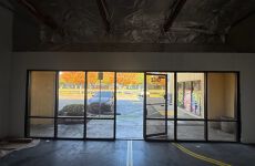 3164119