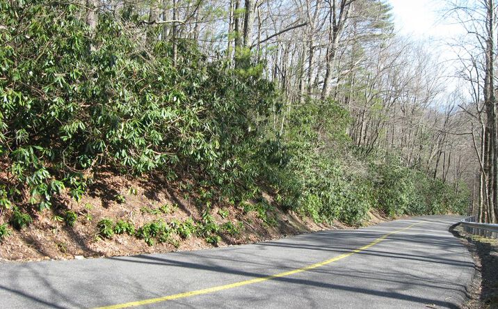 Pictures of Land property located at TBD Cascade Trail, Fancy Gap, VA 24328 for lease - image #1