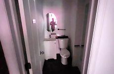 12042662