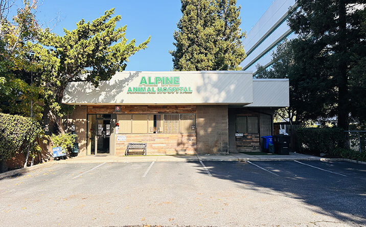 Pictures of Retail, Office property located at 2460 W El Camino Real, Mountain View, CA 94040 for lease - image #1