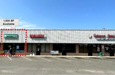 12295132