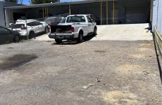 12306542