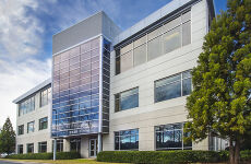 12313534