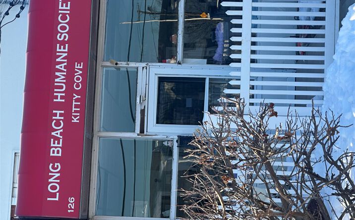 Pictures of Retail property located at 126 Austin Boulevard, Hempstead, NY 11558 for lease - image #1