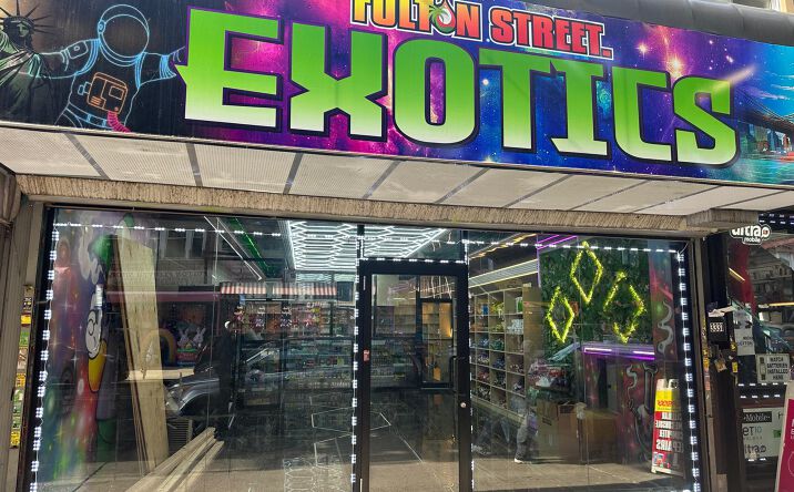 Pictures of Retail property located at 3331 Fulton St, Brooklyn, NY 11208 for lease - image #1