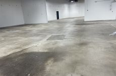 12447815
