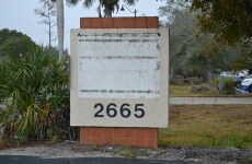 12451032