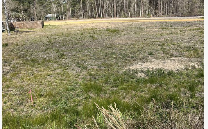 Pictures of Land property located at V F W Rd/Hwy 603, Kiln, MS 39556 for lease - image #1
