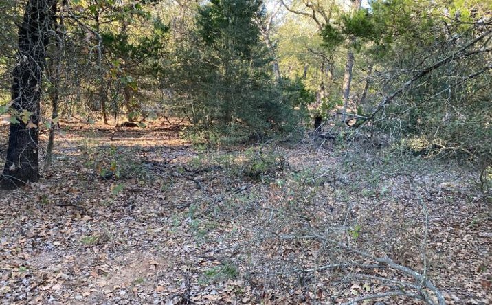 Pictures of Land property located at 8315 Burleson Manor Rd, Manor, TX 78653 for lease - image #1