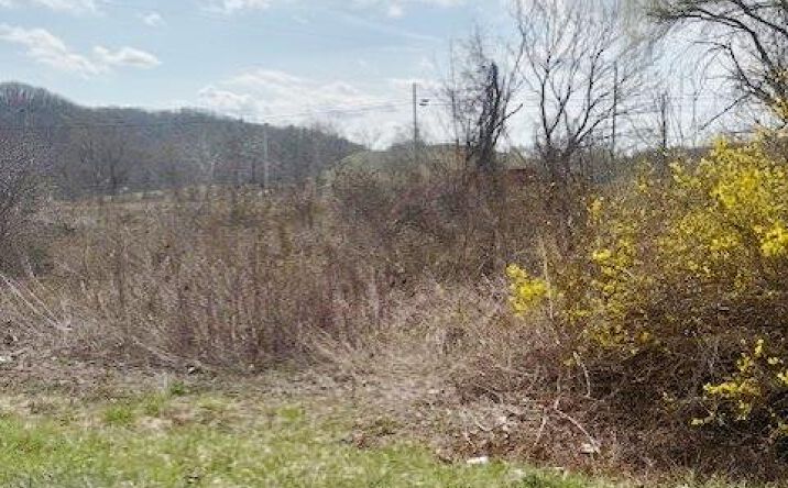 Pictures of Land property located at TBD Ramsey Mountain Rd., Max Meadows, VA 24360 for lease - image #1