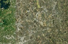 12618026