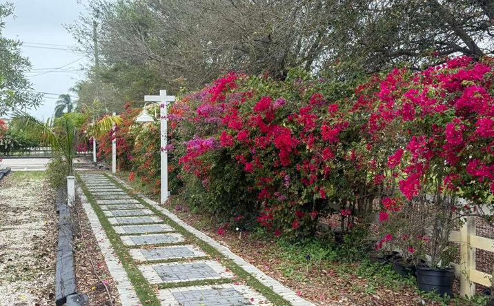 Pictures of Land property located at 4680 SW 148th Avenue, Southwest Ranches, FL 33331 for lease - image #1