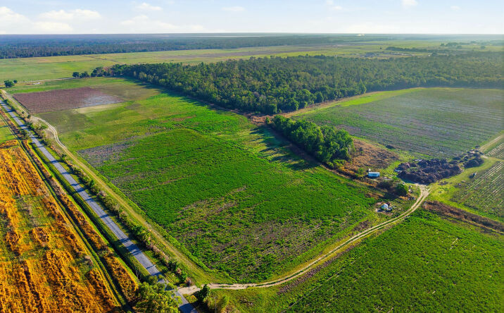 Pictures of Land property located at 16423 Sweat Loop Rd, Wimauma, FL 33598 for lease - image #1
