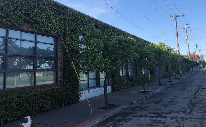 Pictures of Industrial property located at 1850 Campbell St, Oakland, CA 94607 for lease - image #1