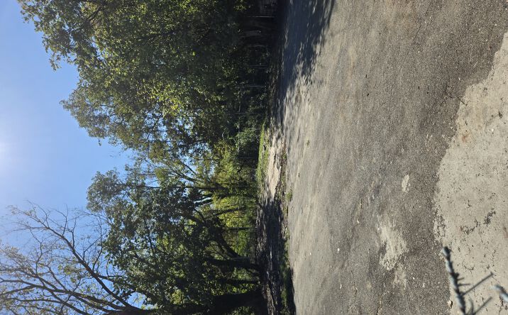 Pictures of Land property located at 231-06A Northern Blvd, flushing, NY 11362 for lease - image #1
