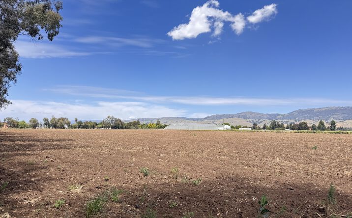 Pictures of Retail, Land, Restaurant property located at 310 Lena Ave, Gilroy, CA 95020 for lease - image #1