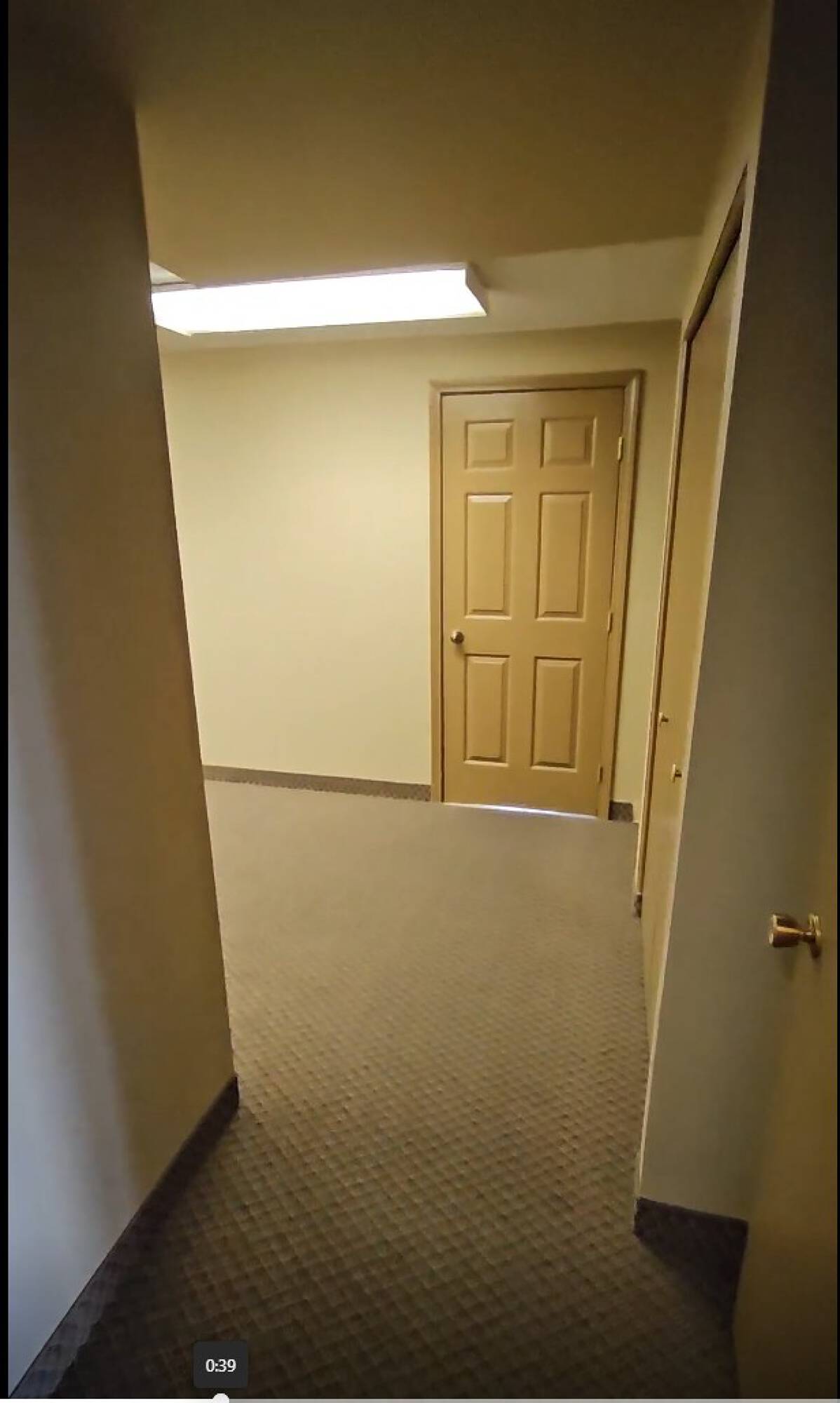 3455056