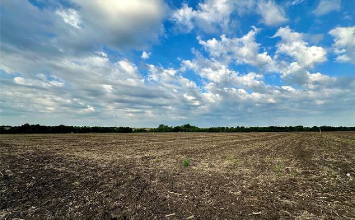 Pictures of Land property located at Lot 4 CR 320, Granger, TX 76530 for lease - image #1
