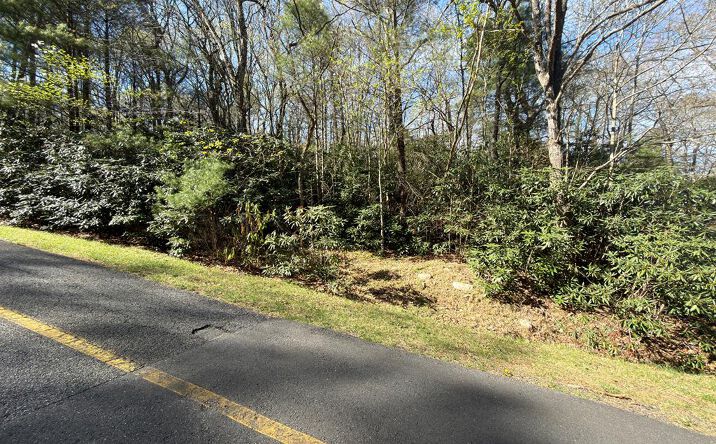 Pictures of Land property located at TBD Cascade Trail, Fancy Gap, VA 24328 for lease - image #1