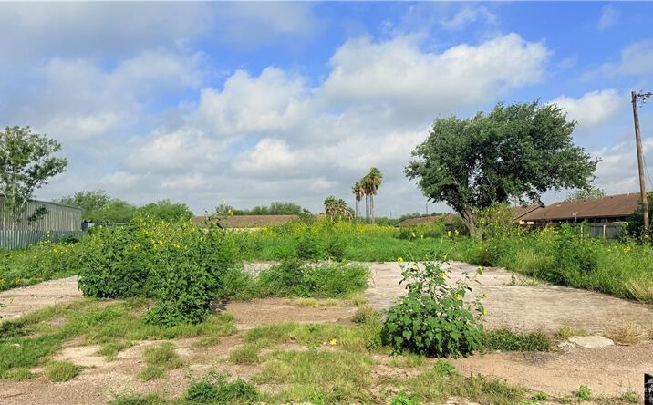 Pictures of Land property located at 3921 S Alamo Road, Alamo, TX 78542 for lease - image #1