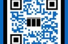 12880459