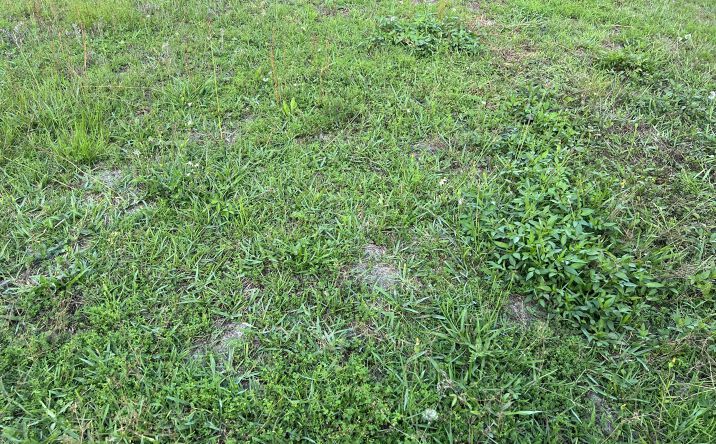 Pictures of Land property located at 2823 N East, Panama City, FL 32405 for lease - image #1