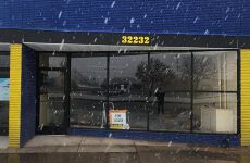 12954017