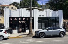 13076908