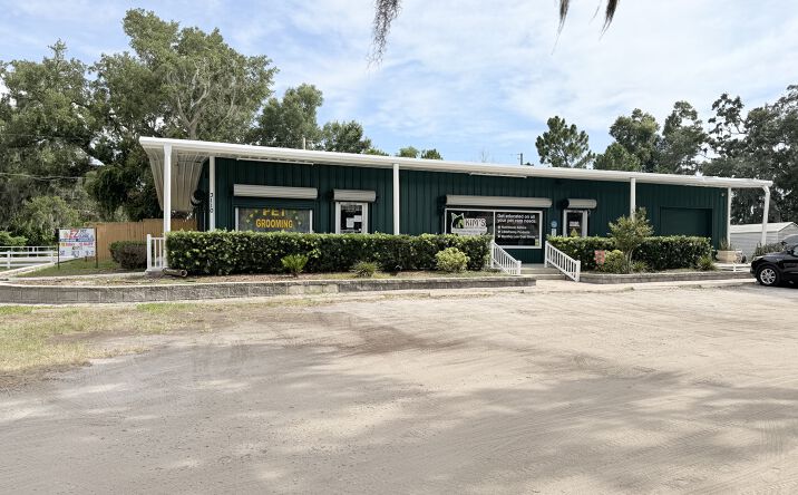 Pictures of Retail property located at 3110 Lithia Pinecrest Road, Valrico, FL 33596 for lease - image #1