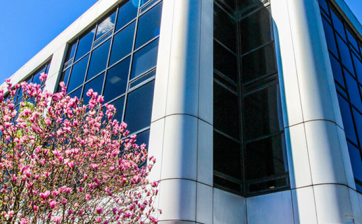 Pictures of Office property located at 244 Westchester Avenue, White Plains, NY 10604 for lease - image #1