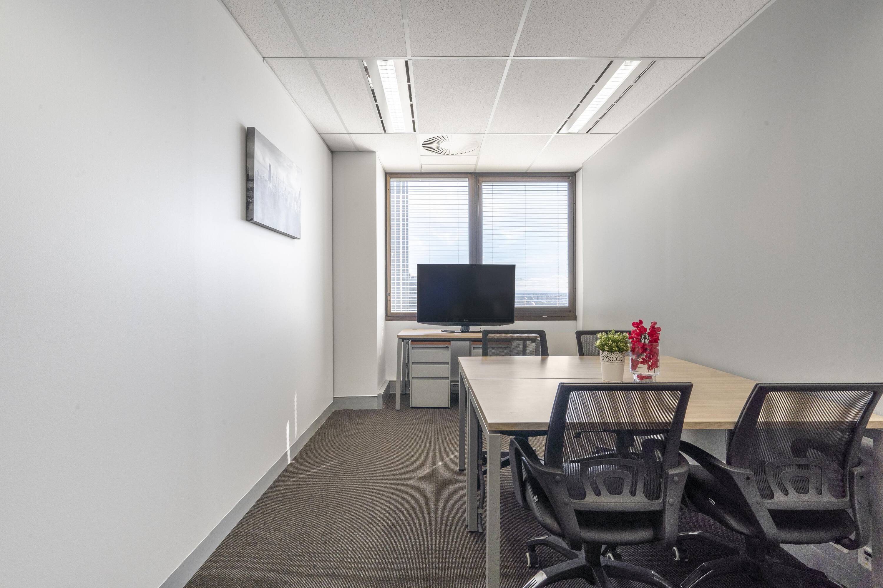 3569123